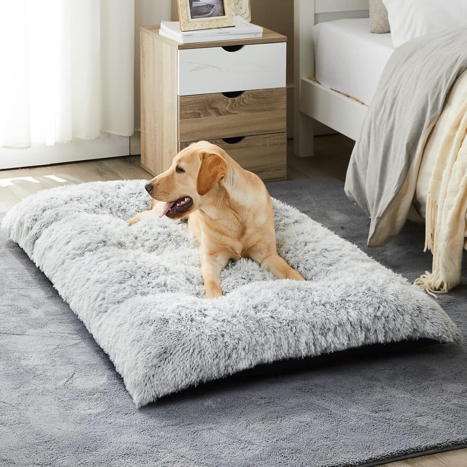 dog beds amazon