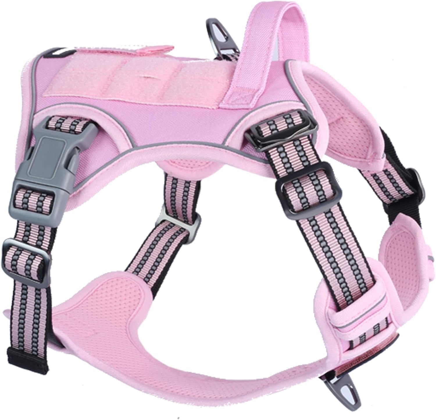 dog harness with name