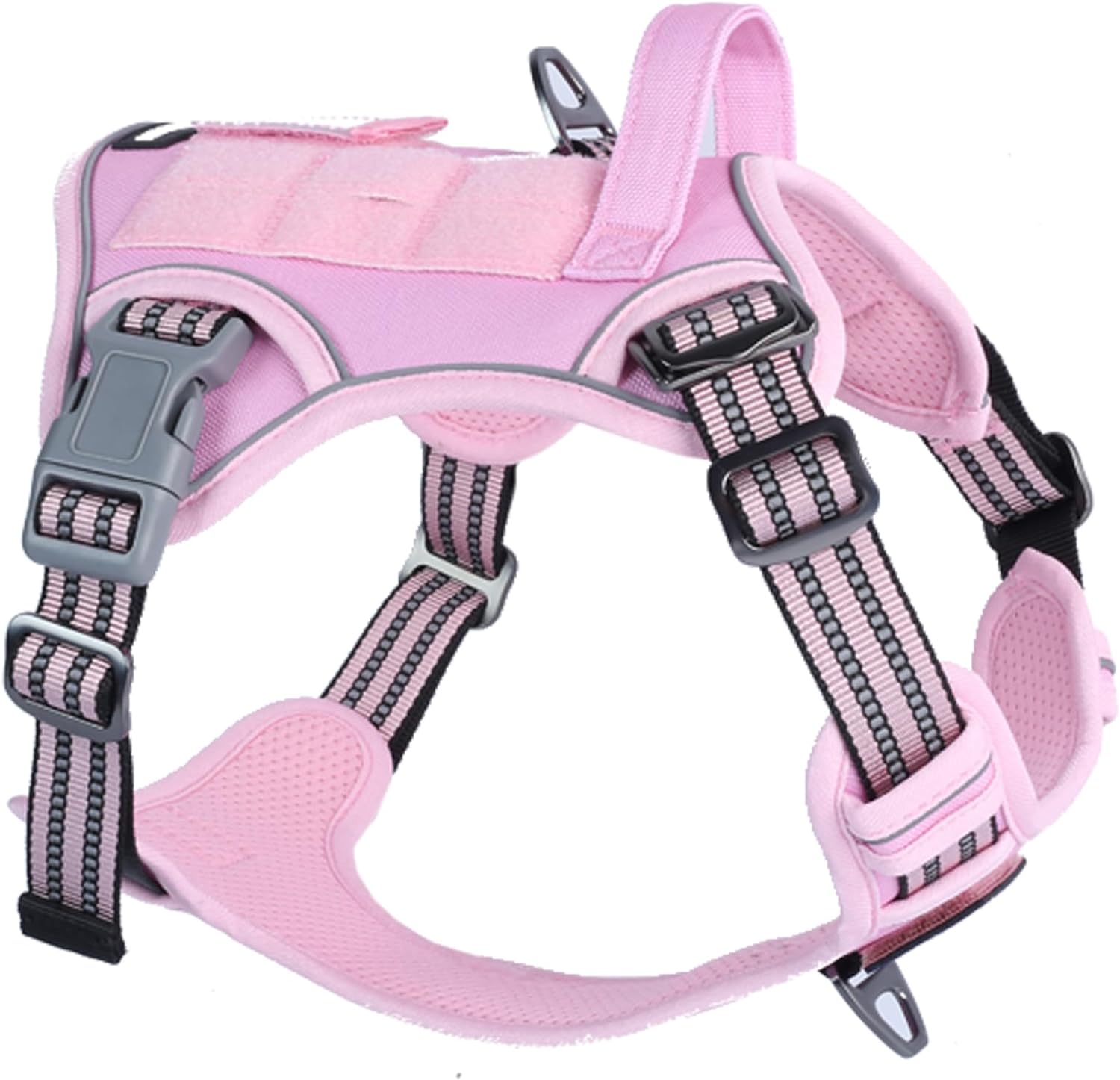 dog harness with name