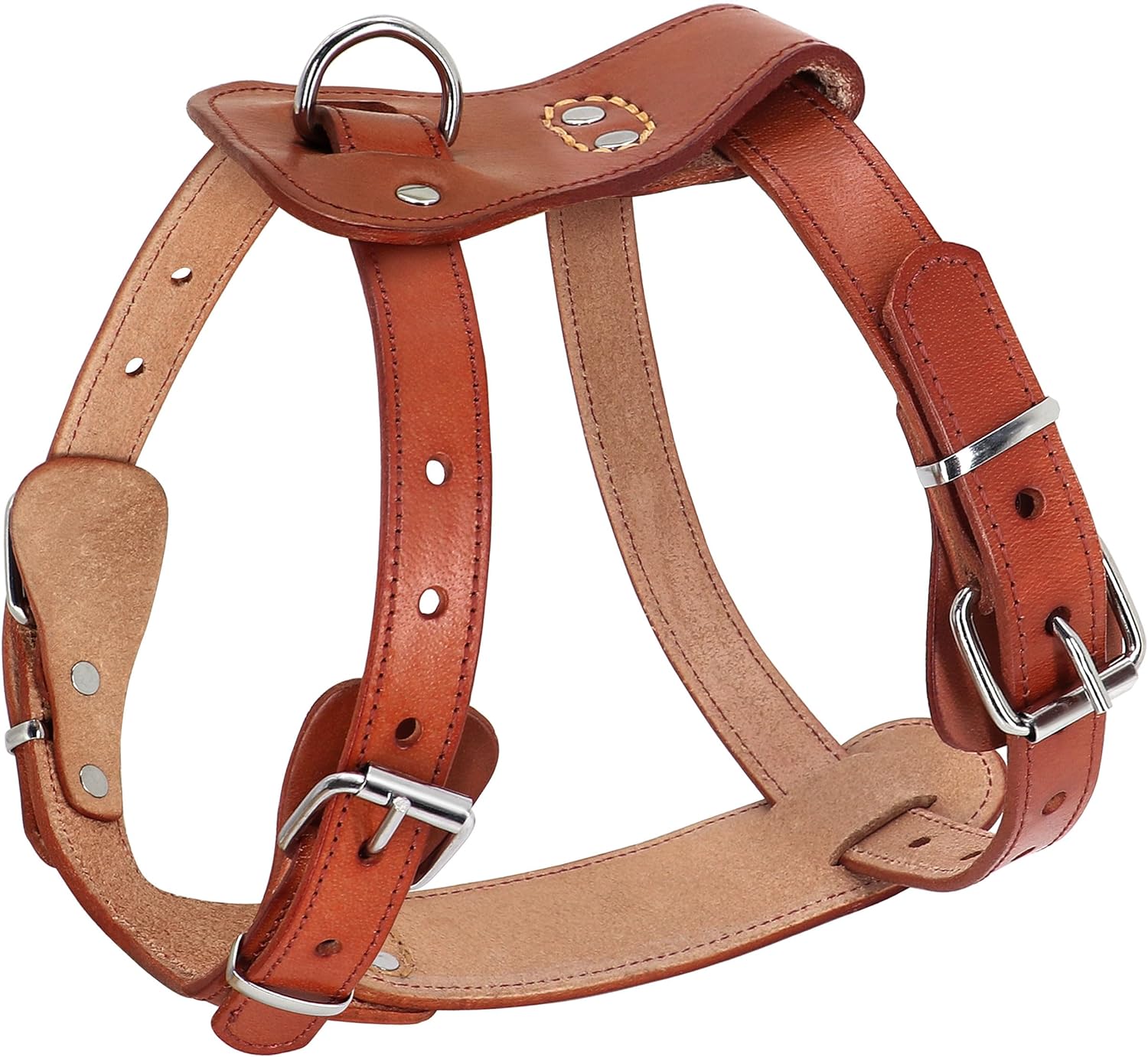 dog harness with name