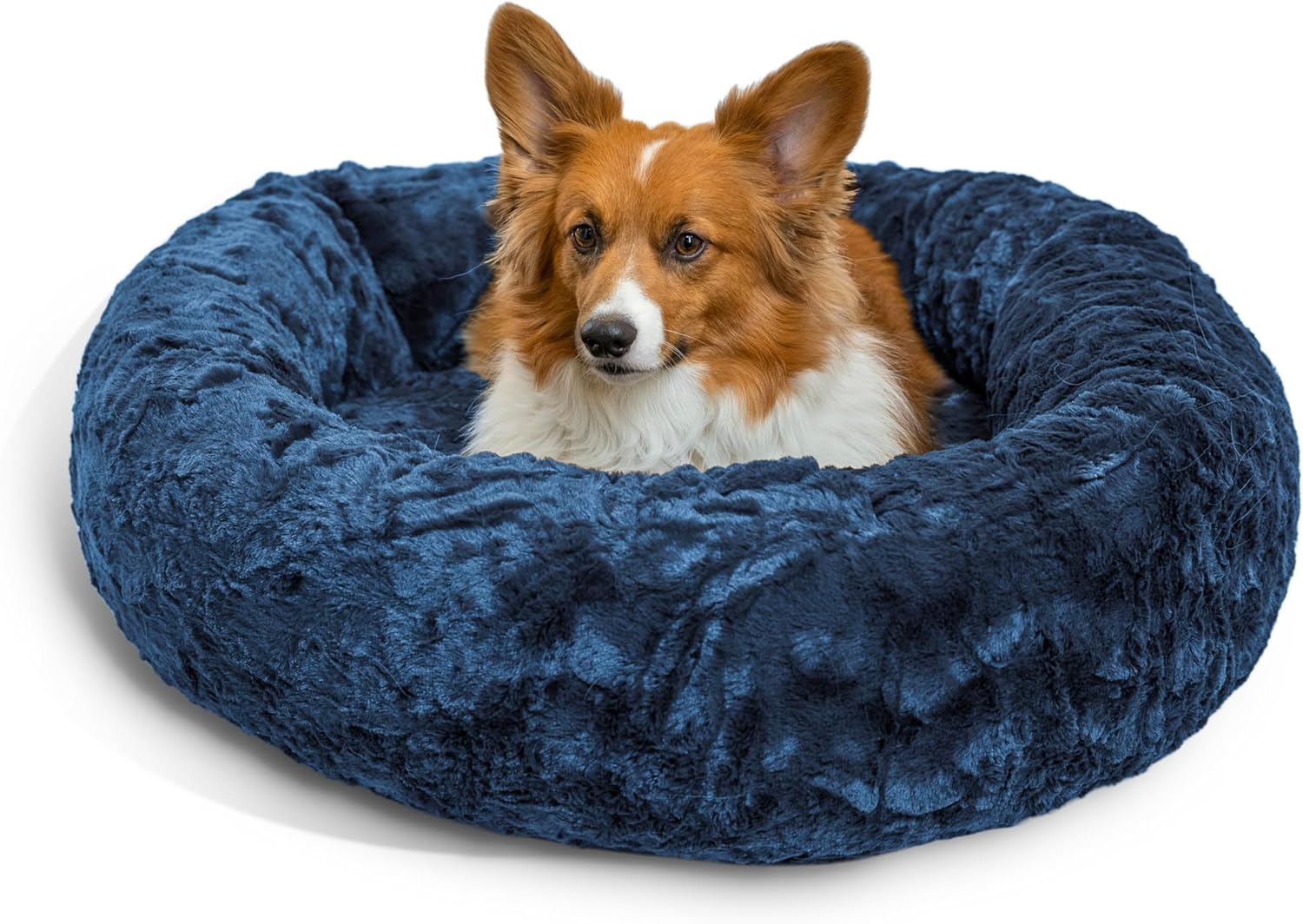 dog beds amazon