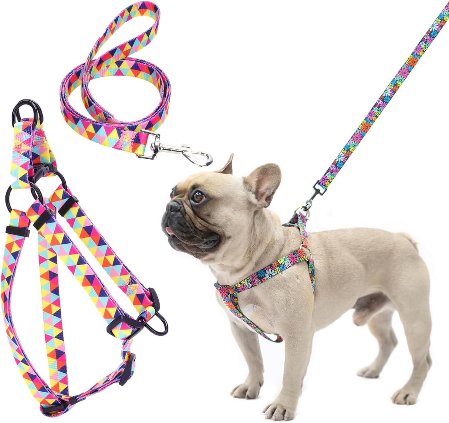 dog harness with name