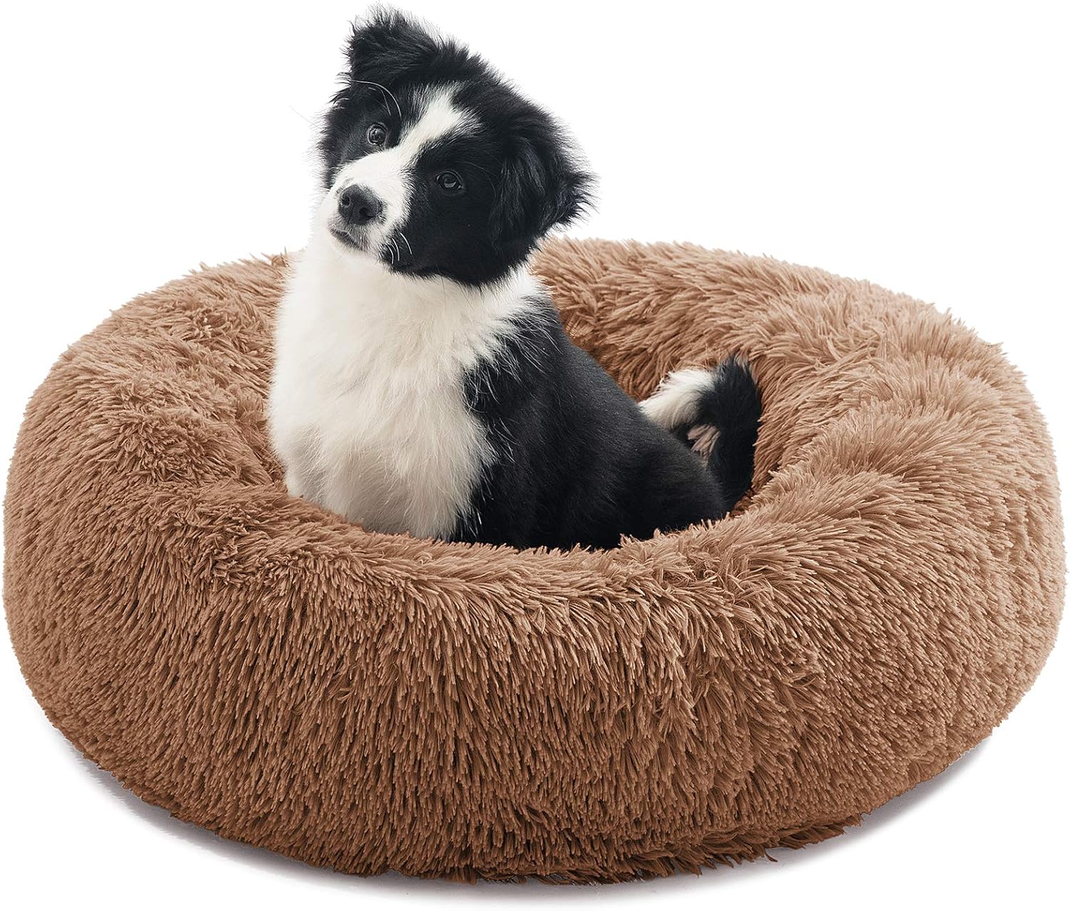 dog beds amazon