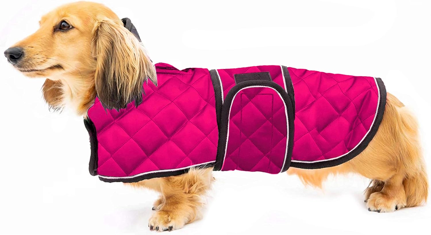 dog jackets waterproof