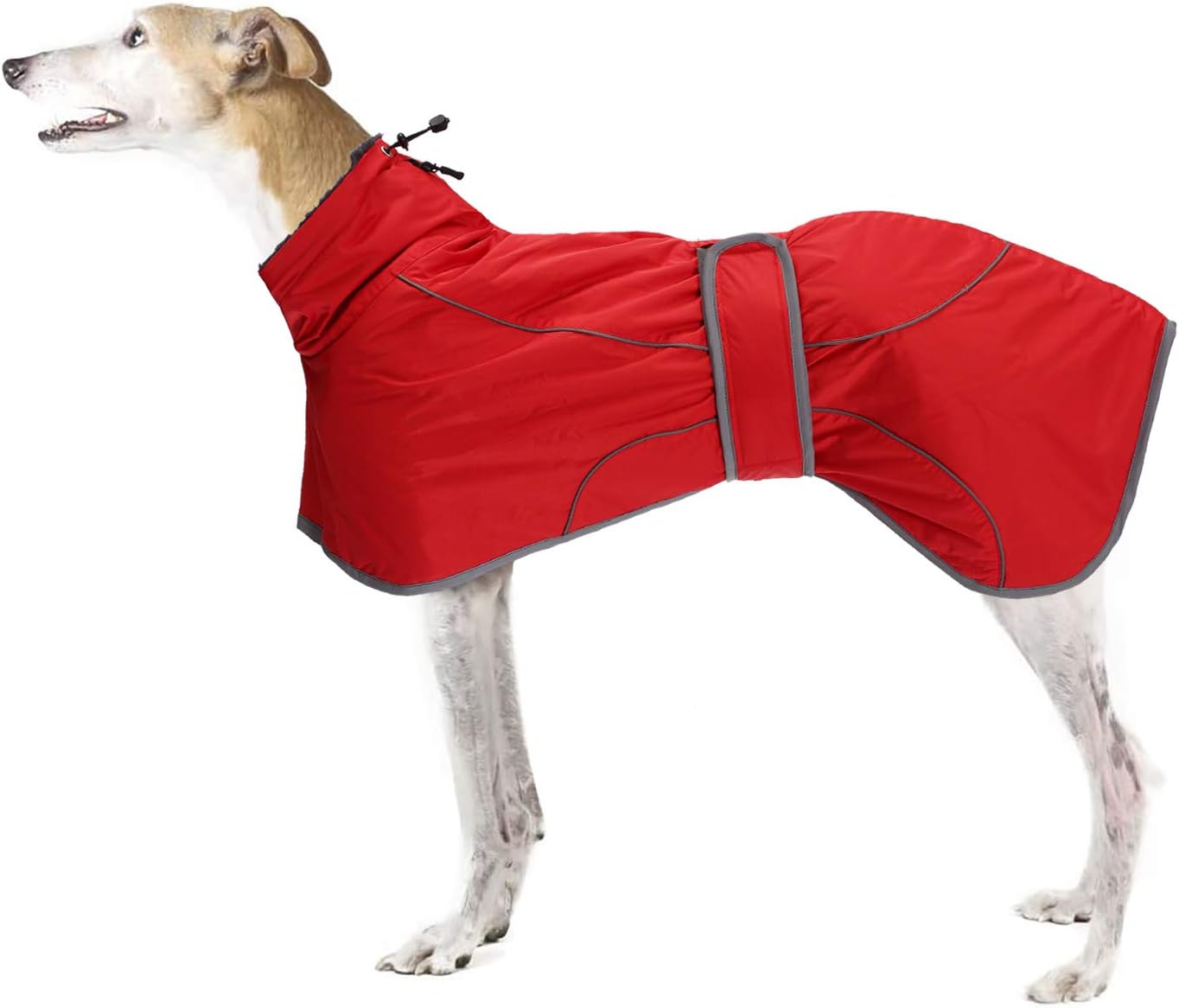 dog jackets waterproof