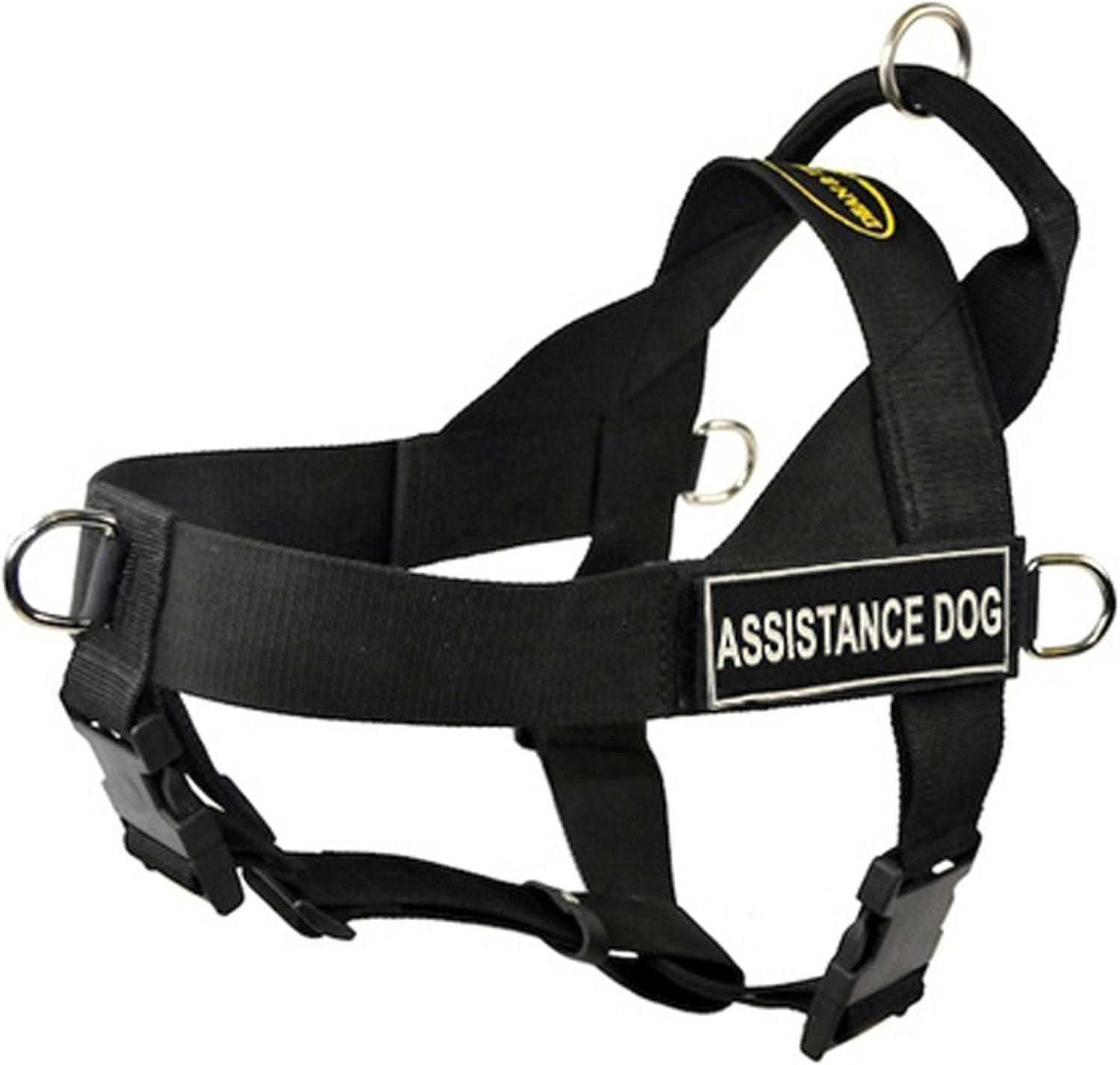 dog harness with name