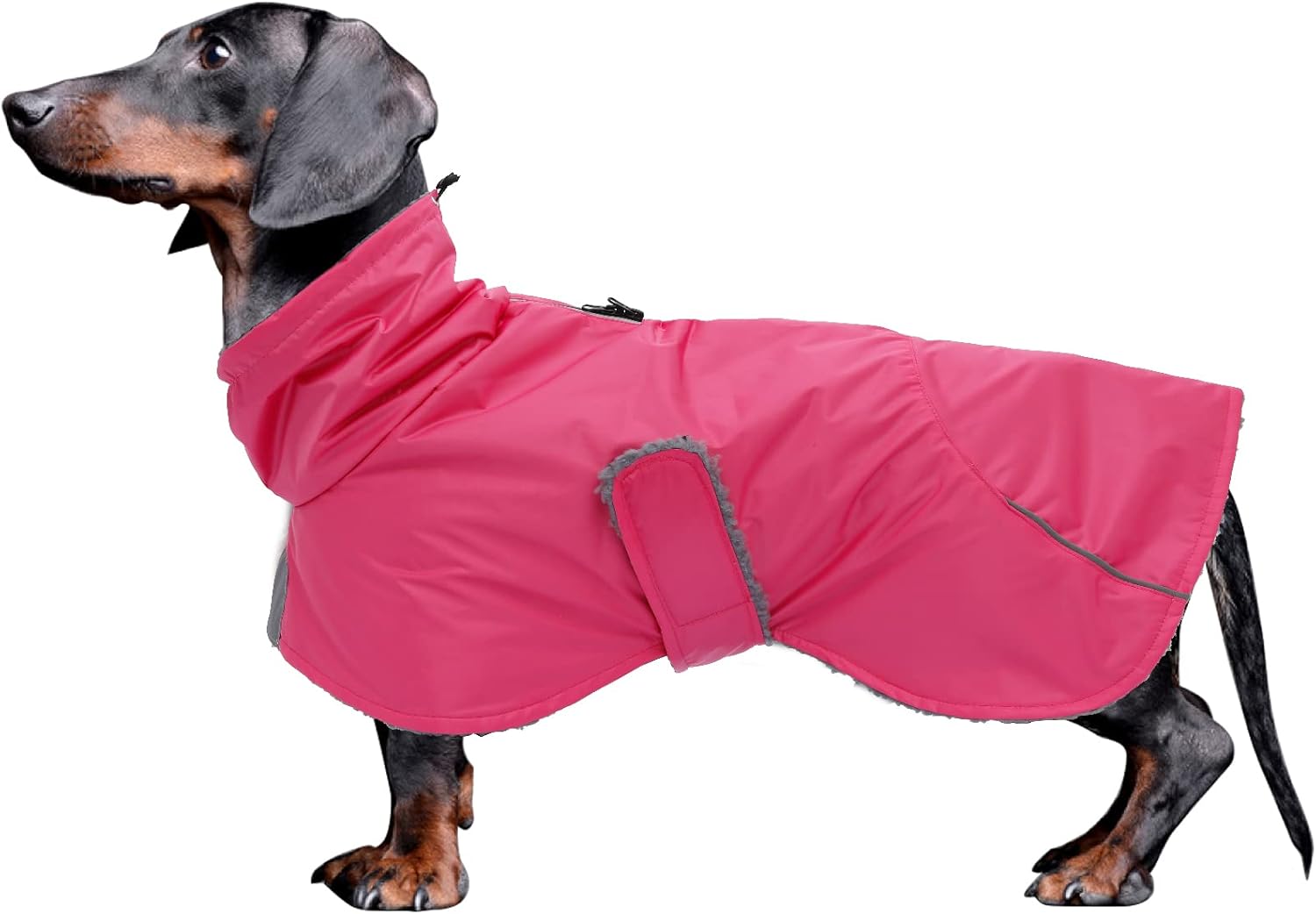 dog jackets waterproof