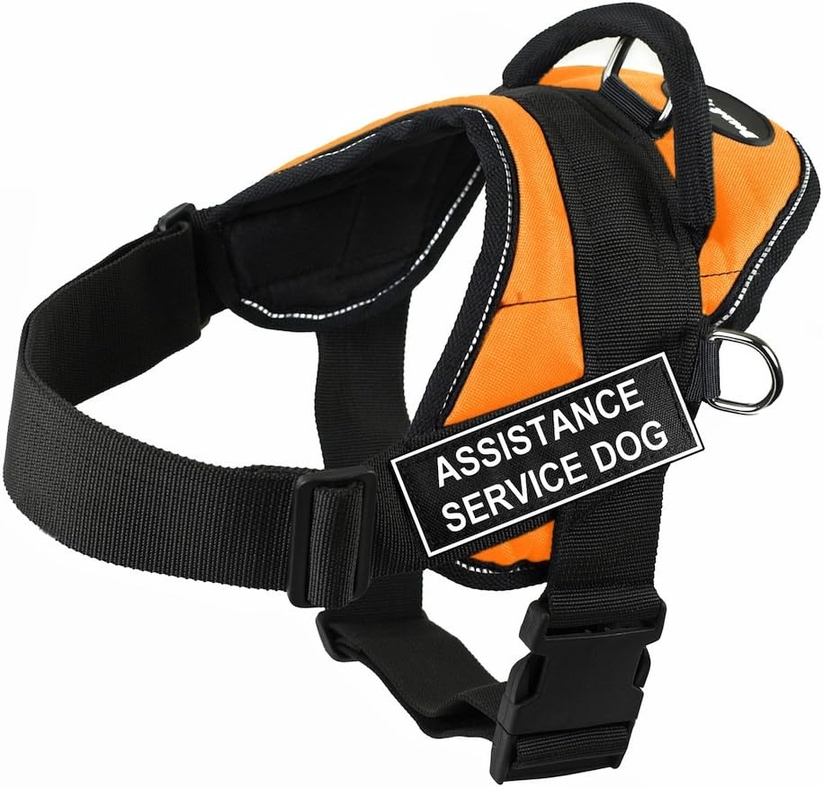 dog harness with name