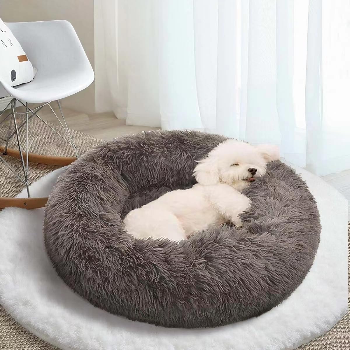 dog beds amazon