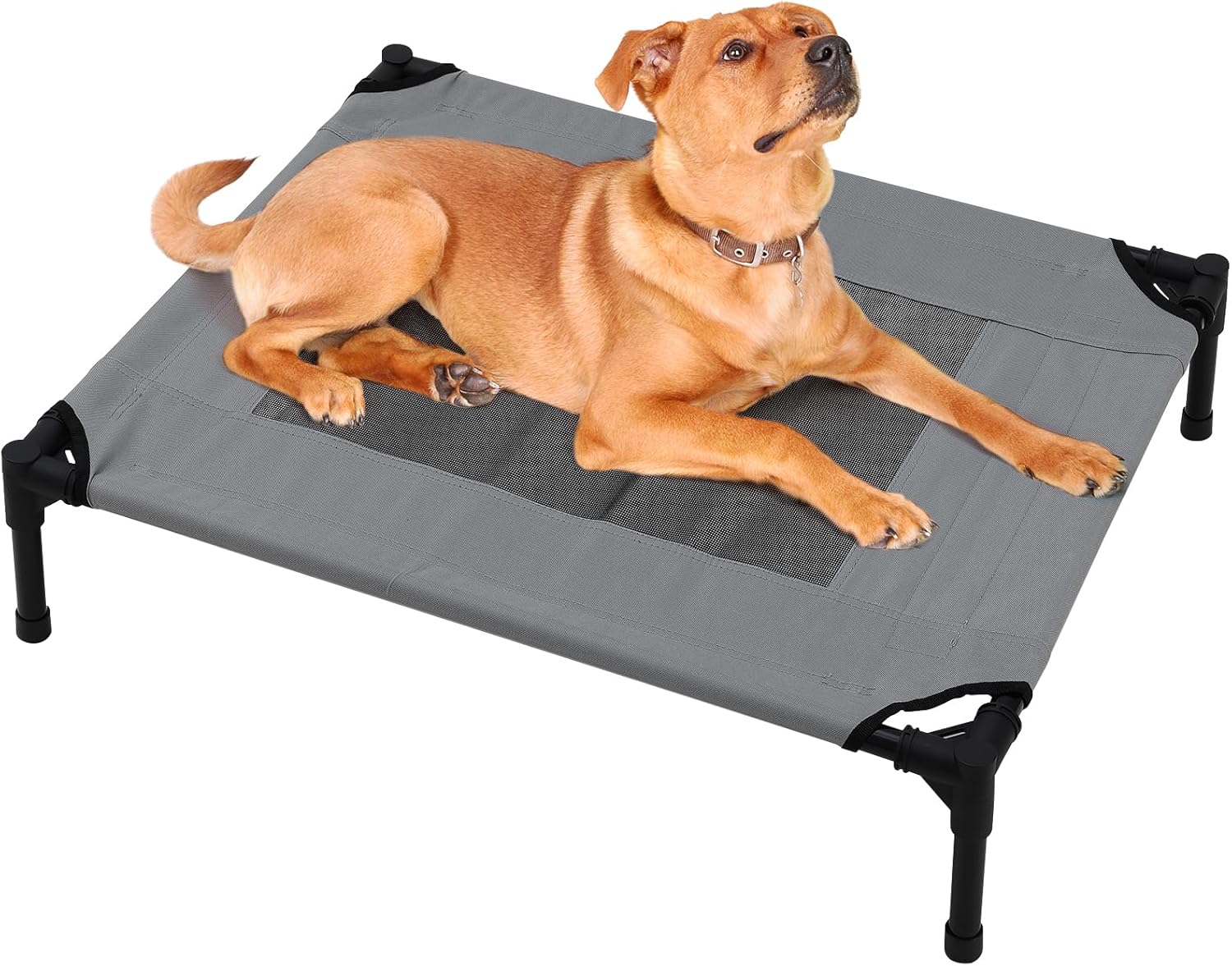 dog beds amazon