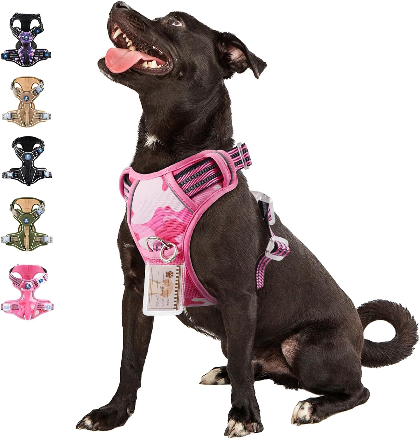 dog harness with name