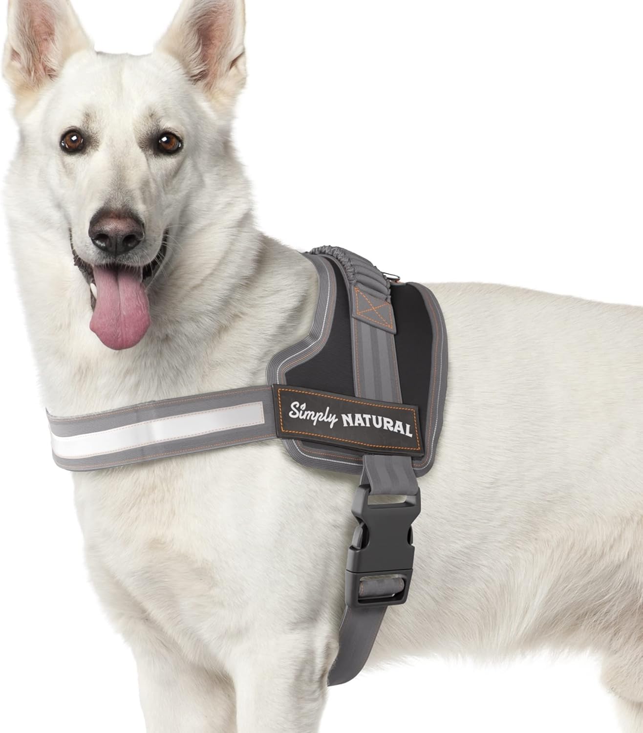 dog harness with name