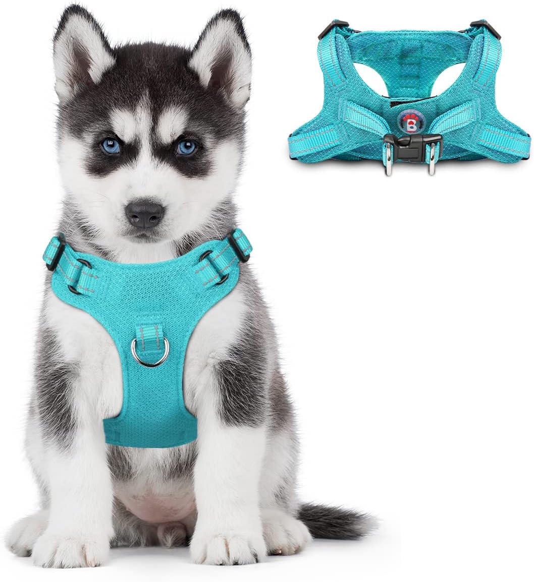 dog harness with name