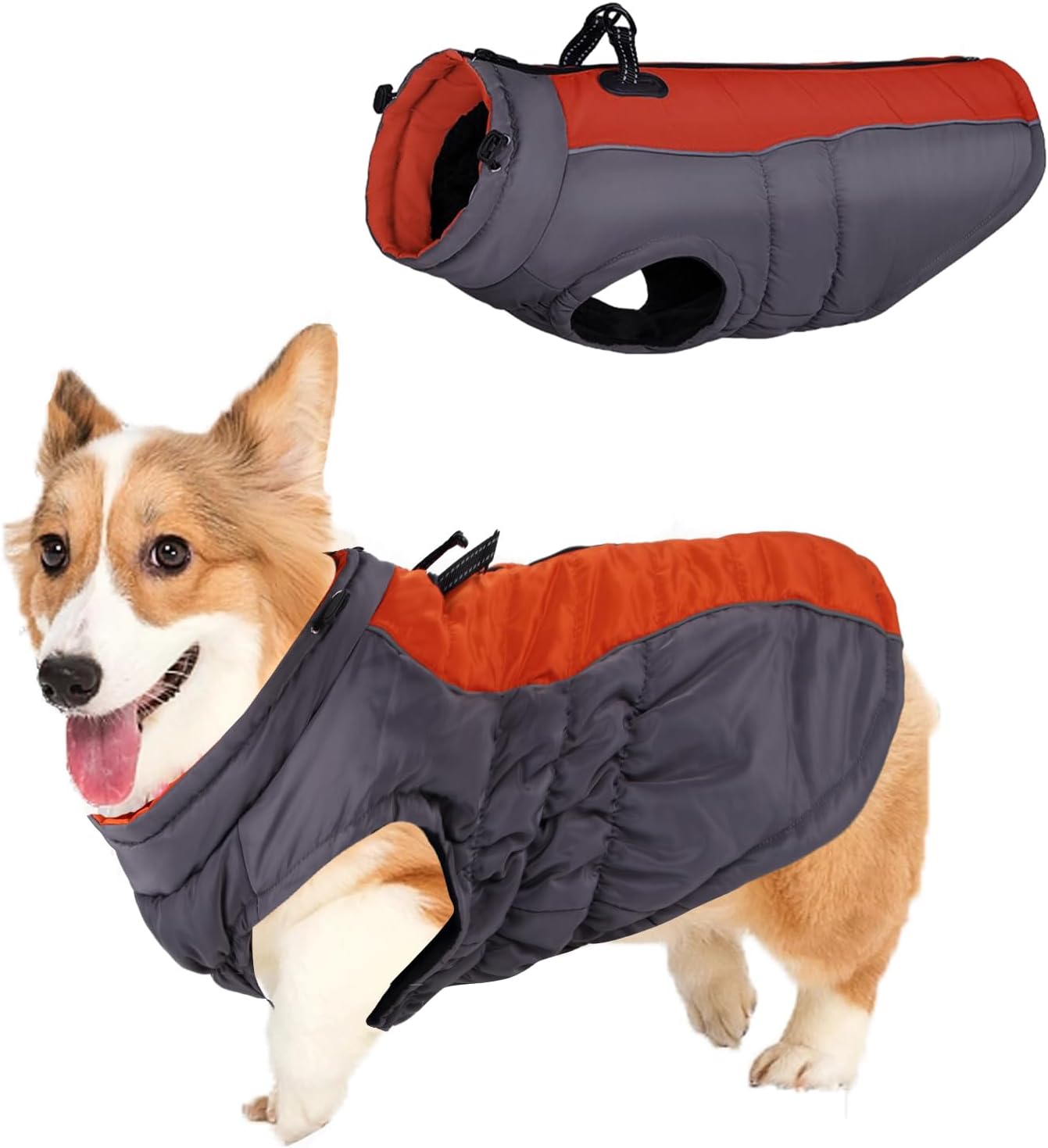 dog jackets amazon