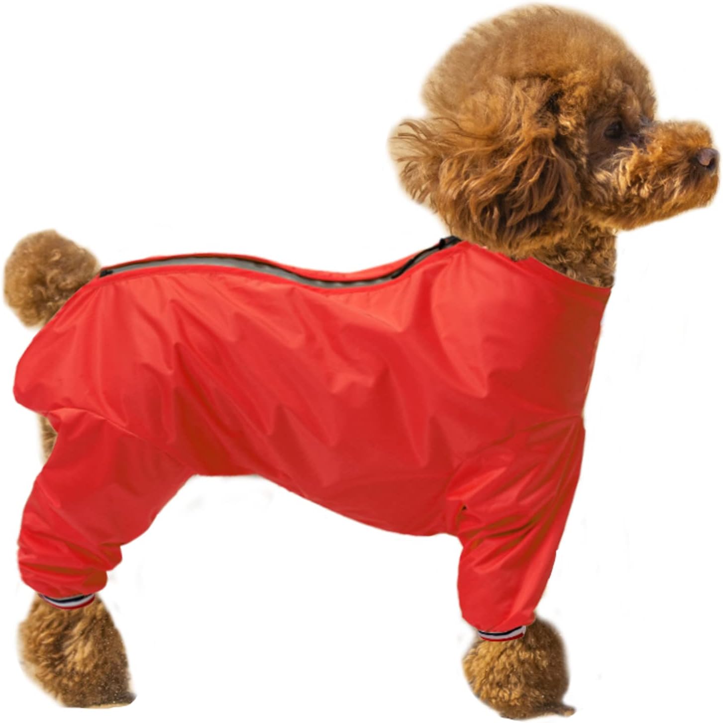 dog jackets waterproof