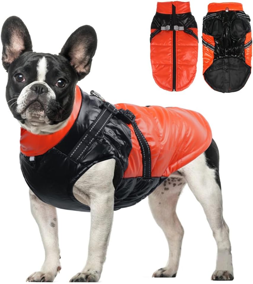 dog jackets waterproof