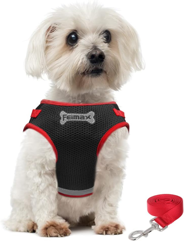 dog harness with name