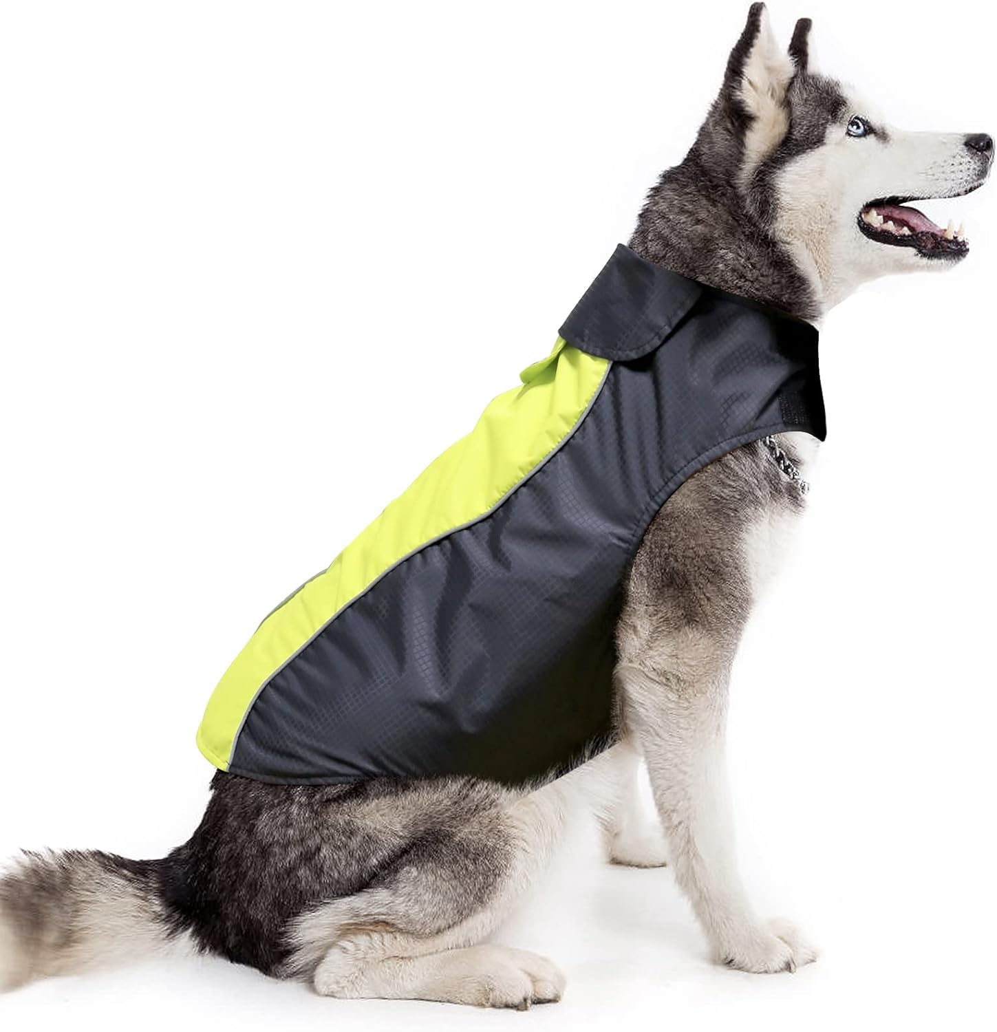 dog jackets waterproof