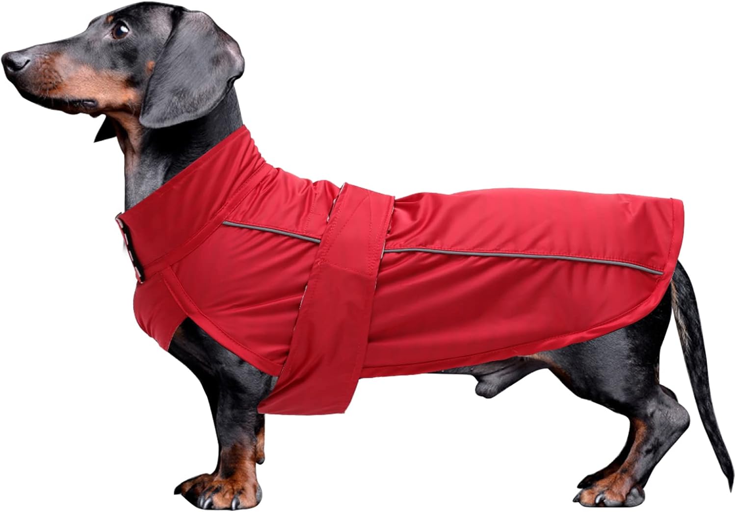 dog jackets waterproof