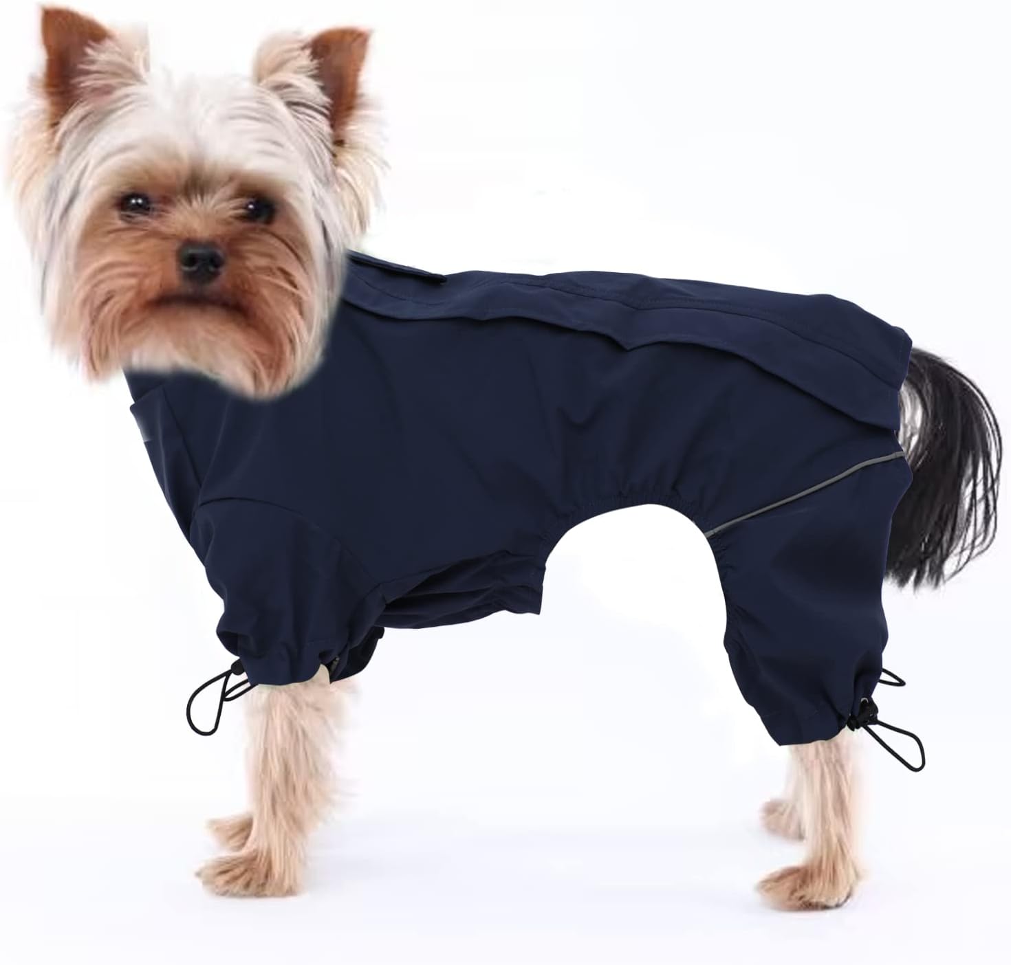 dog jackets waterproof