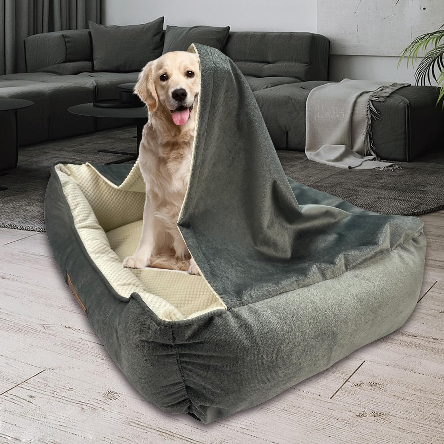 dog beds amazon