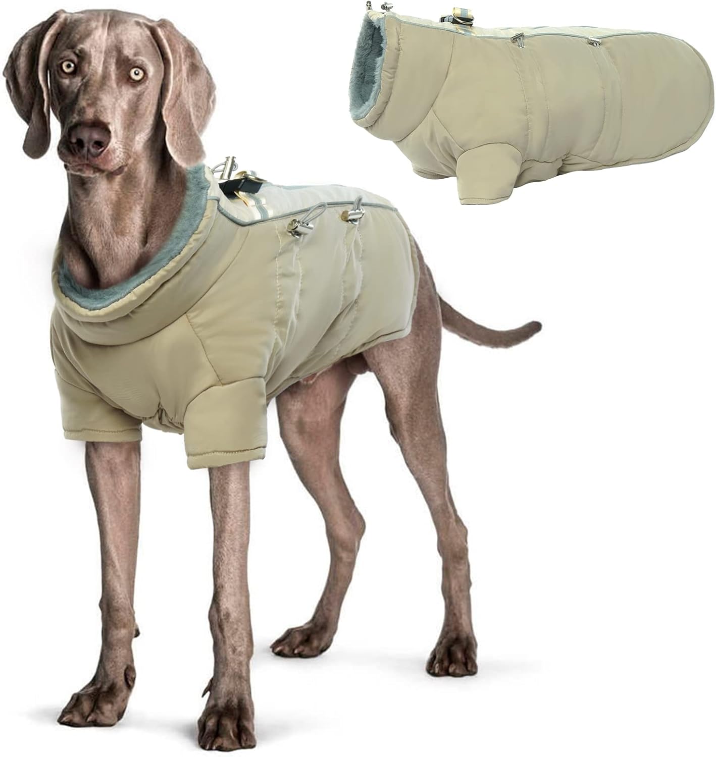 dog jackets waterproof