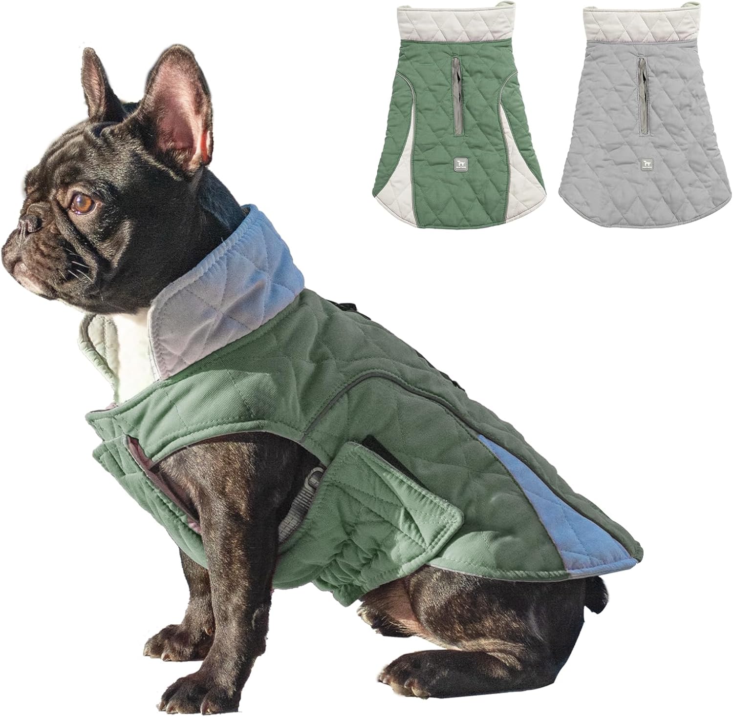 dog jackets waterproof