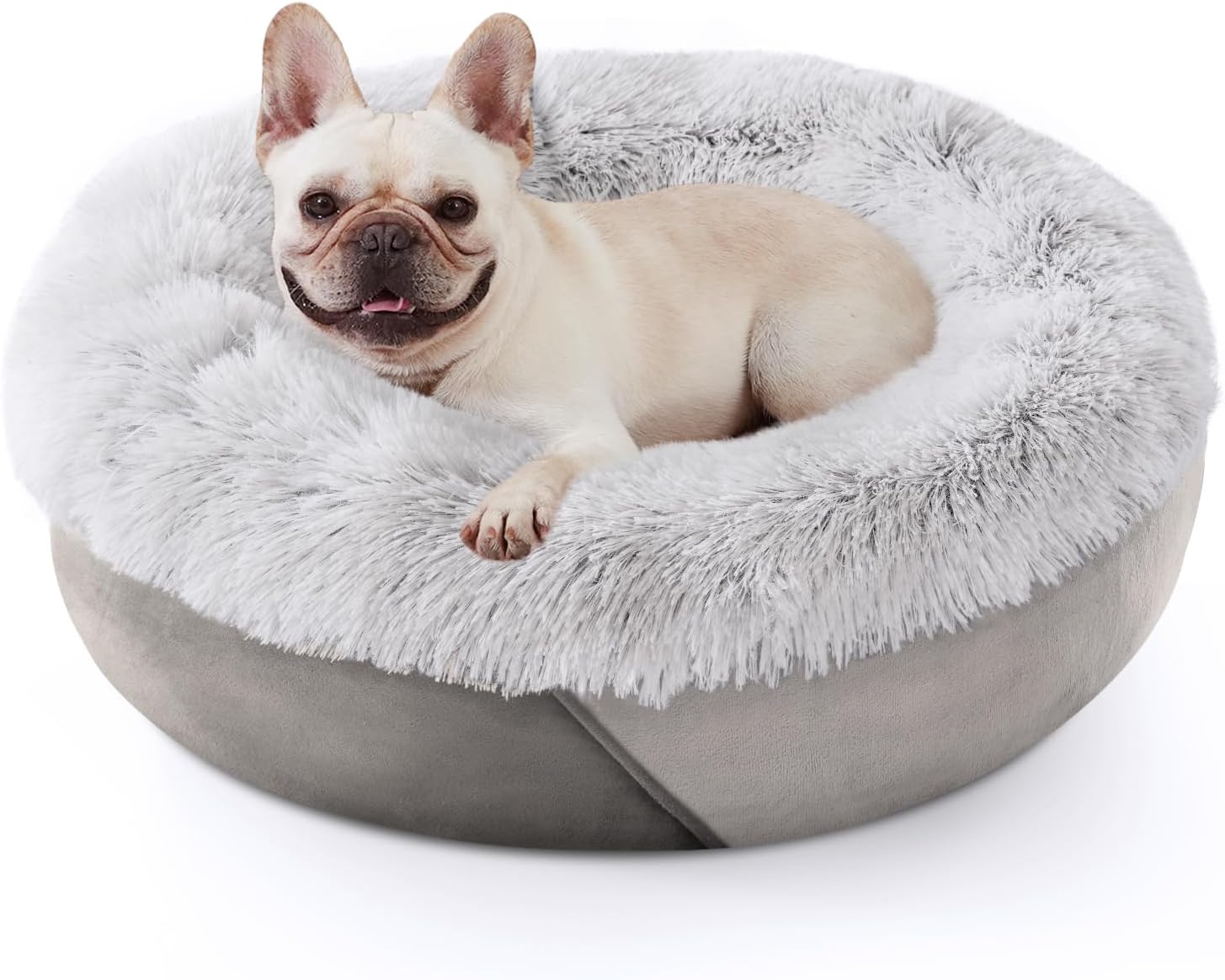 dog beds amazon