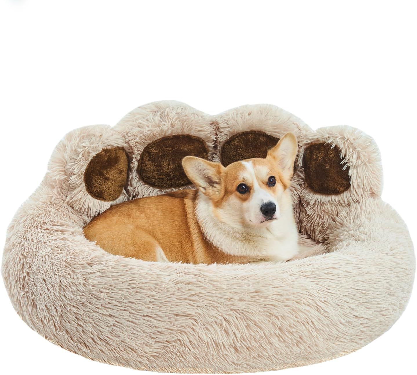 dog beds amazon