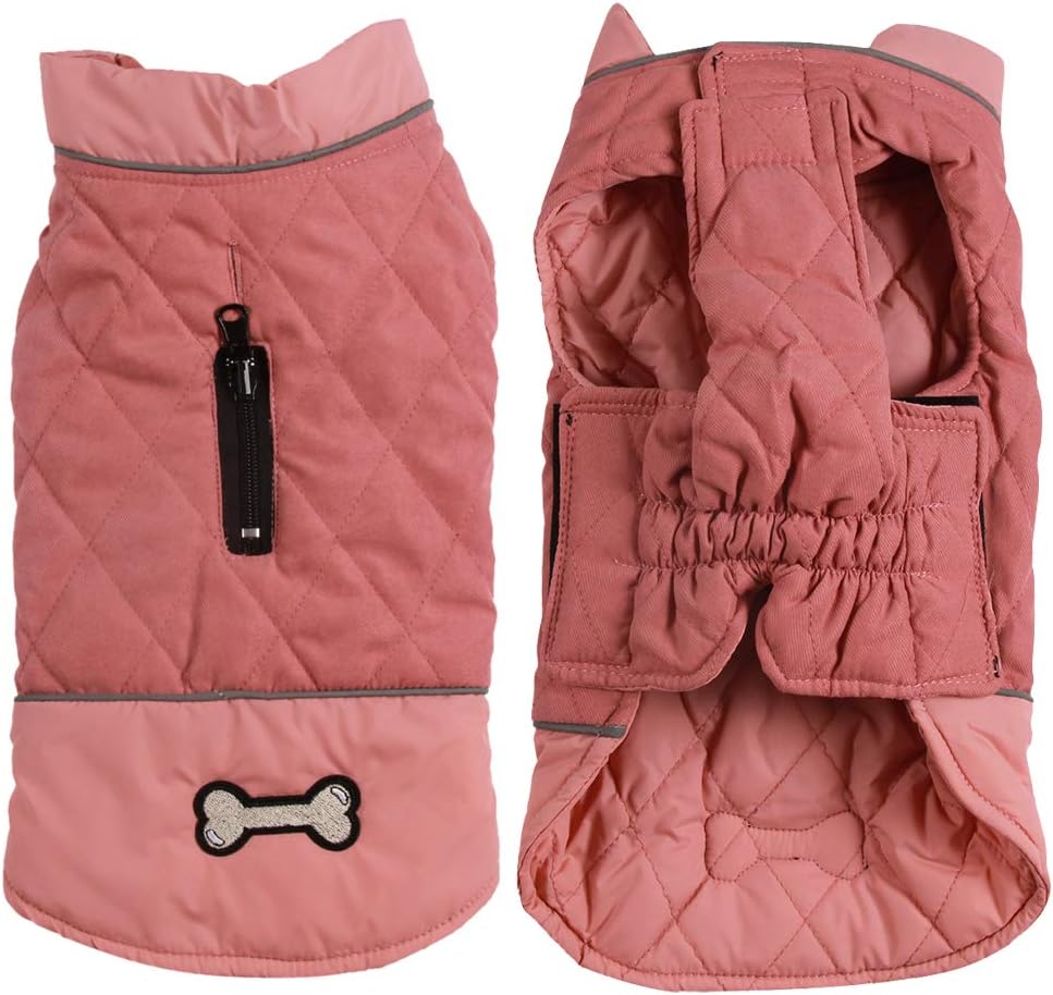 dog jackets waterproof