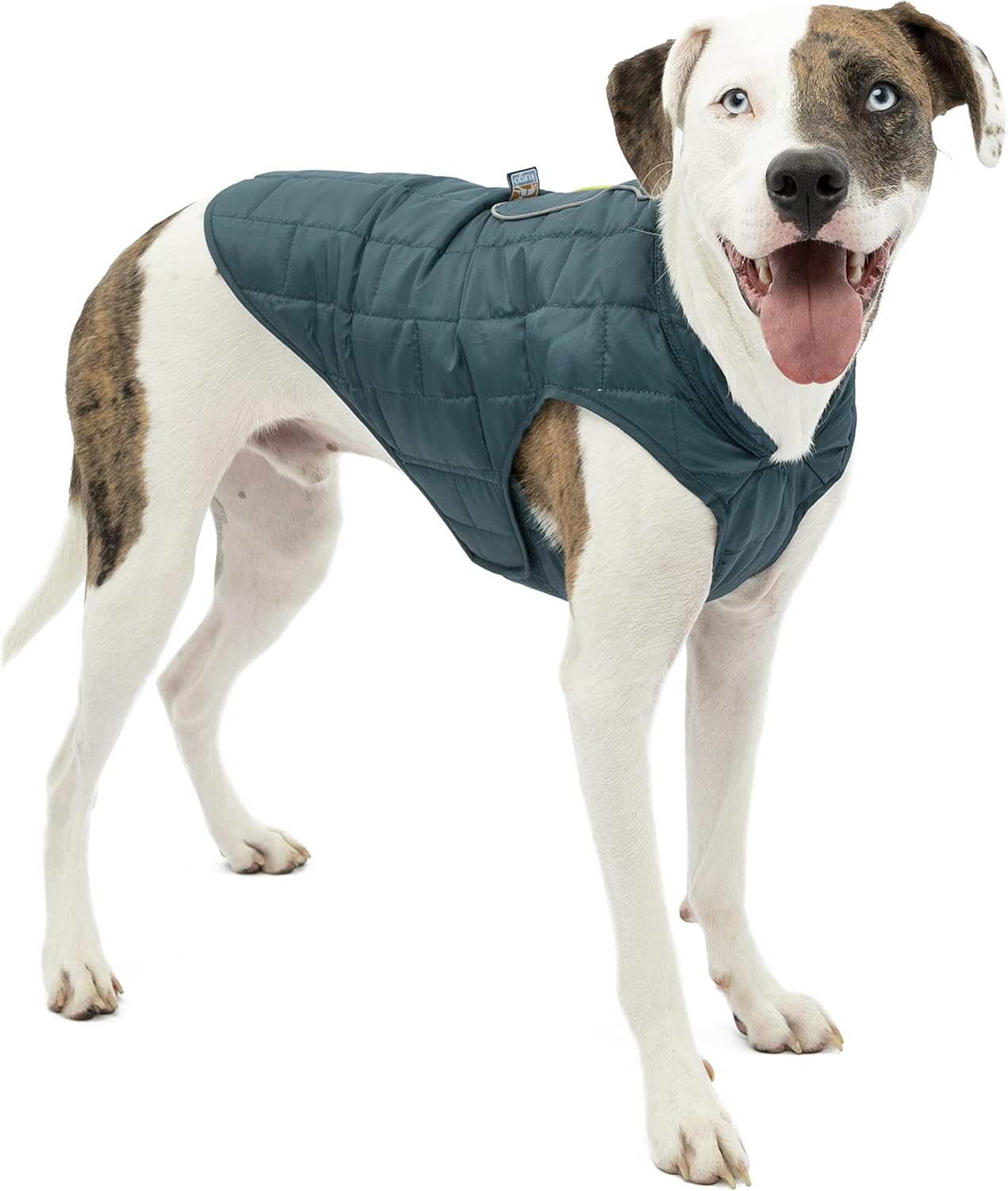 dog jackets waterproof