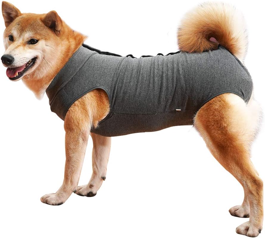 dog jackets waterproof