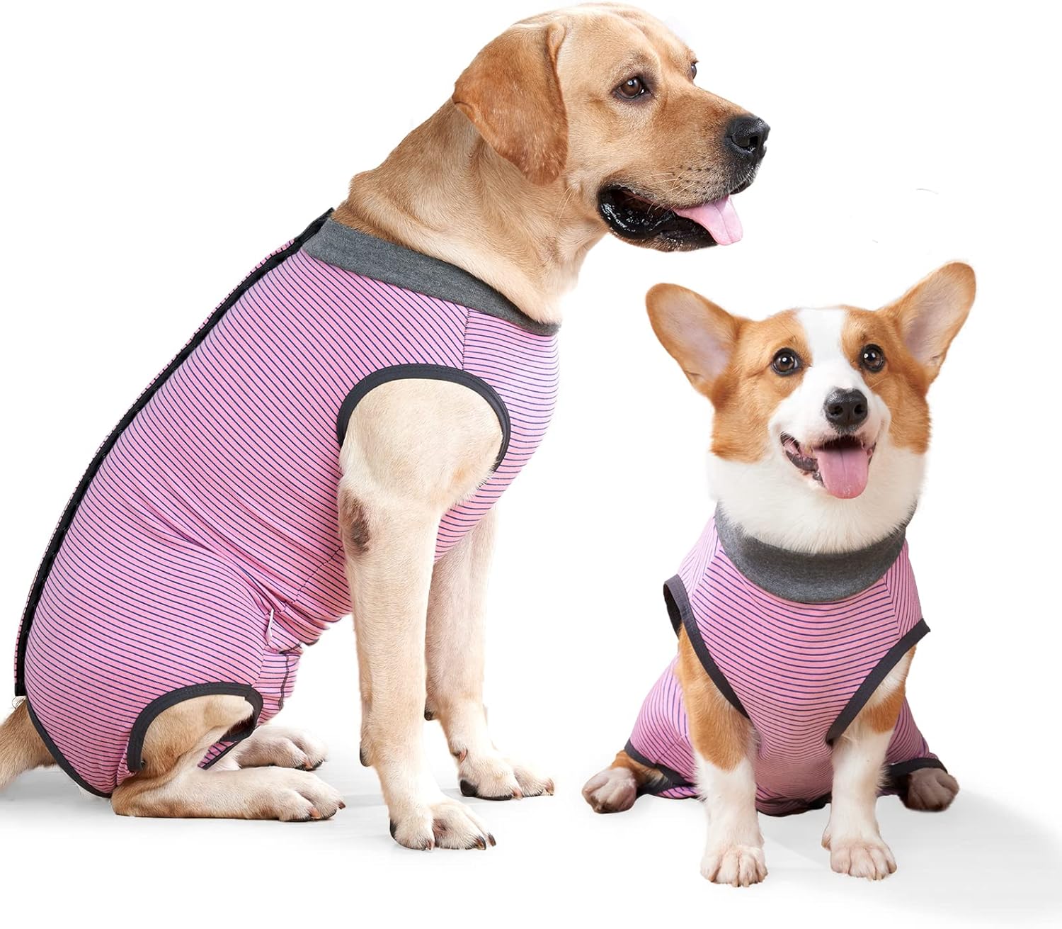 dog jackets waterproof