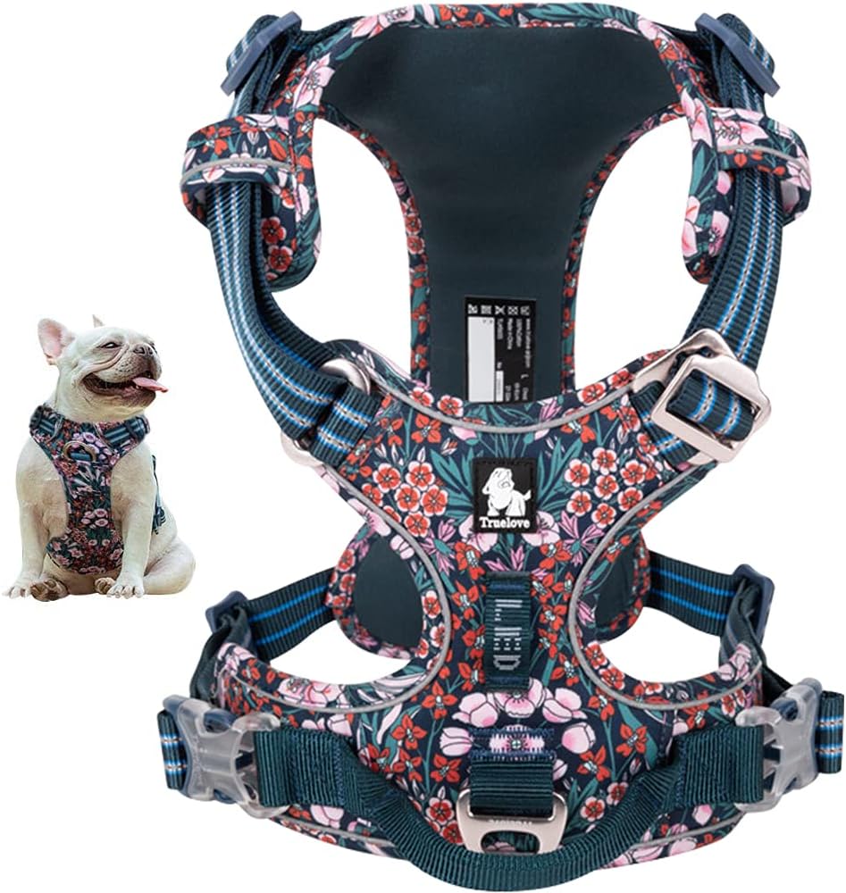 dog harness with name