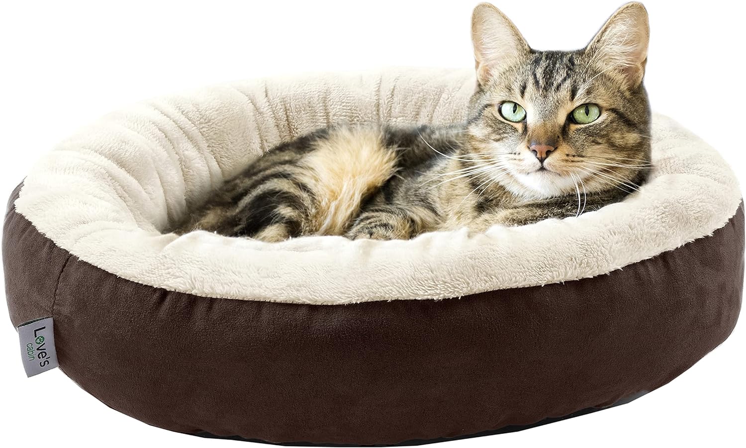 dog beds amazon