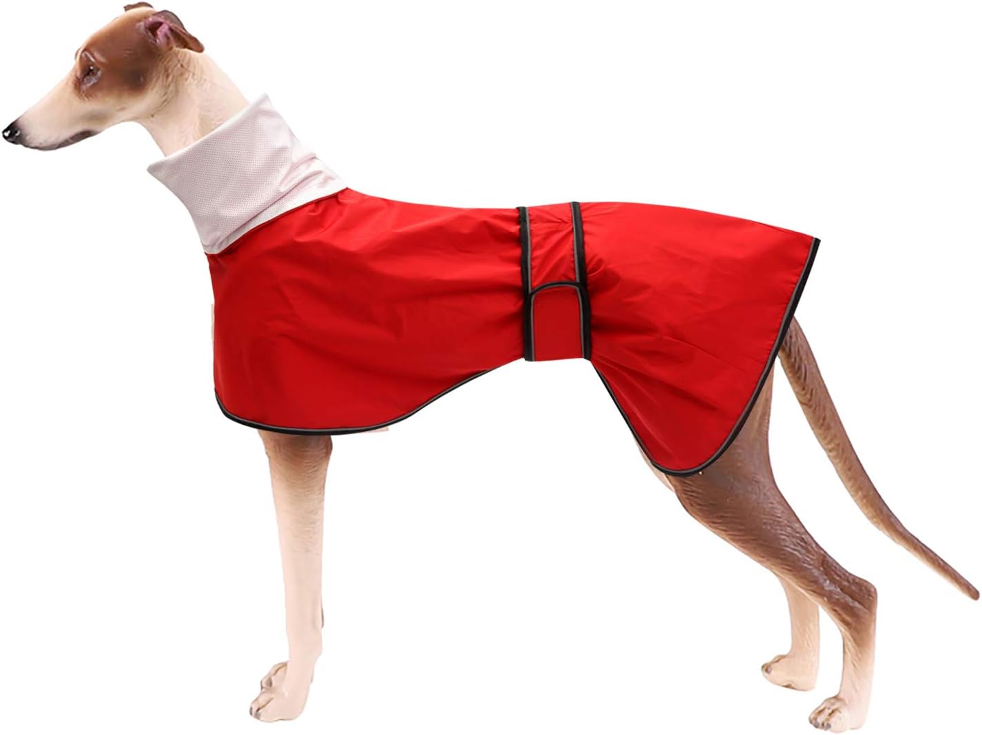 dog jackets waterproof