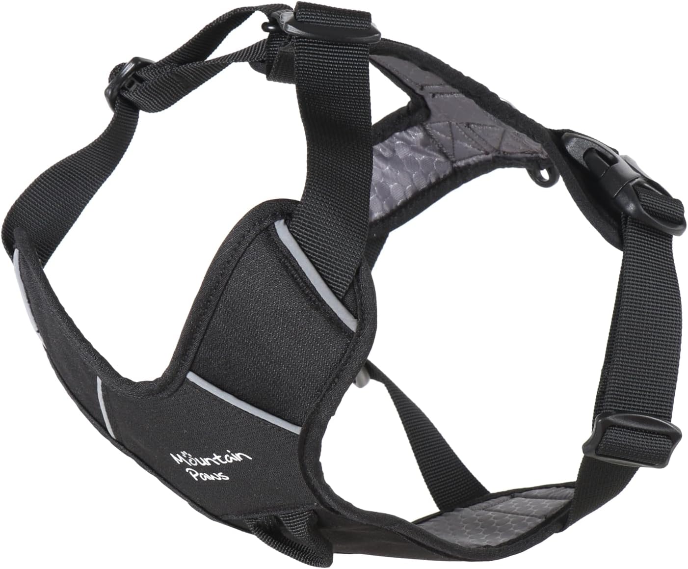 dog harness with name