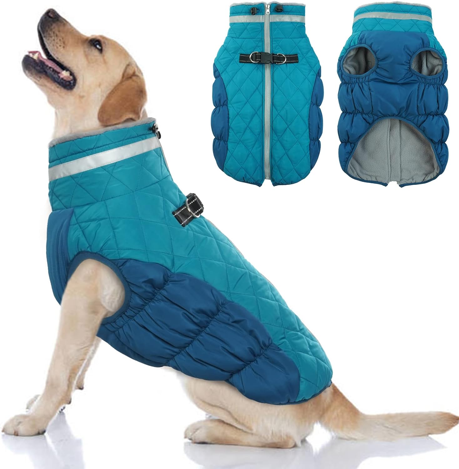 dog jackets waterproof