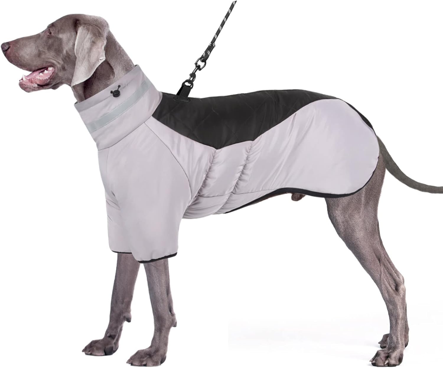 dog jackets waterproof