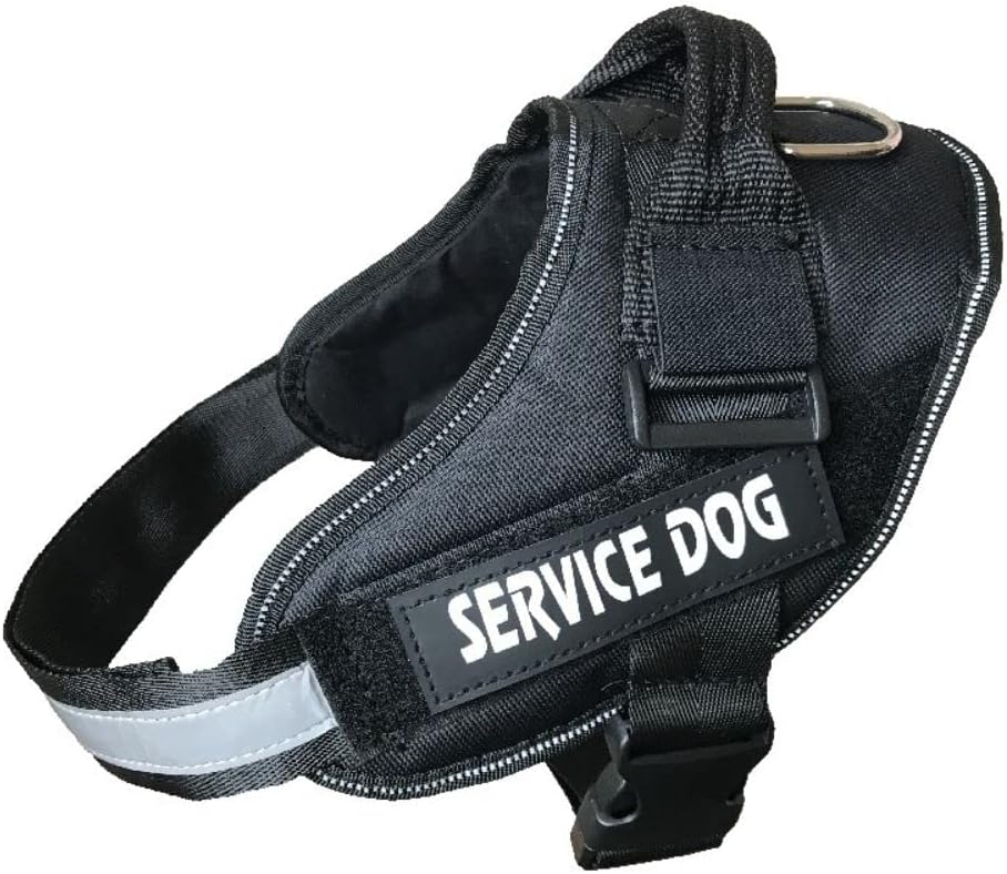 dog harness with name