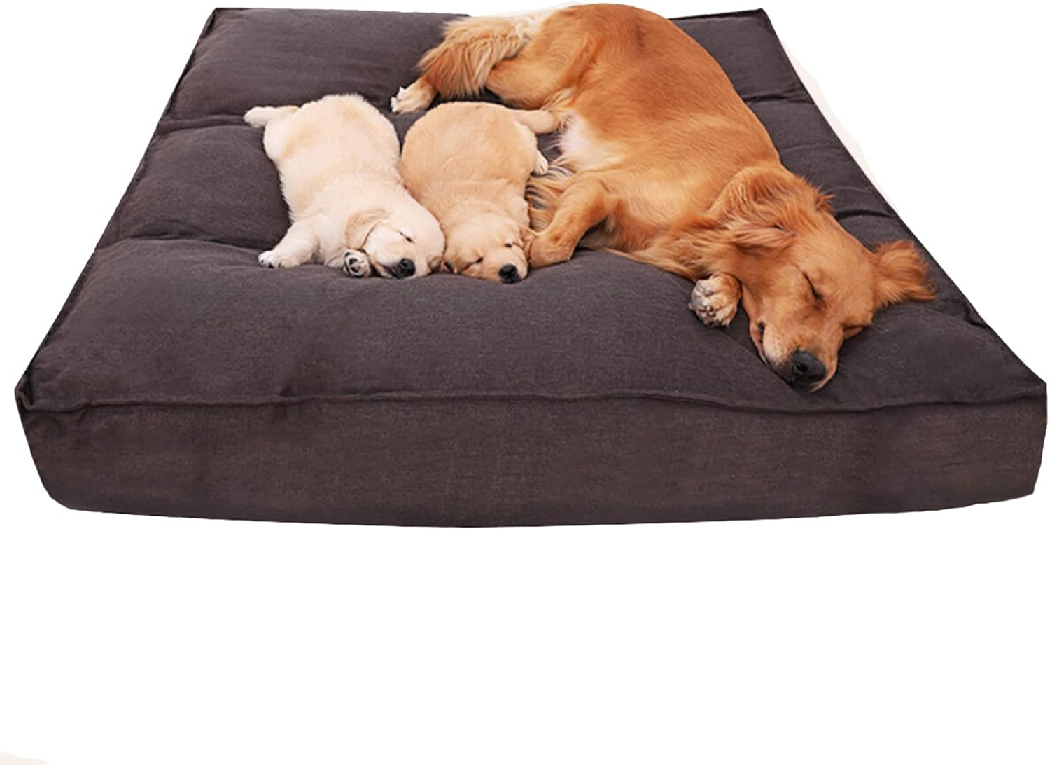 dog beds amazon