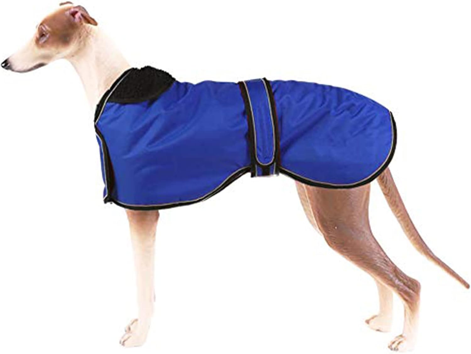 dog jackets waterproof