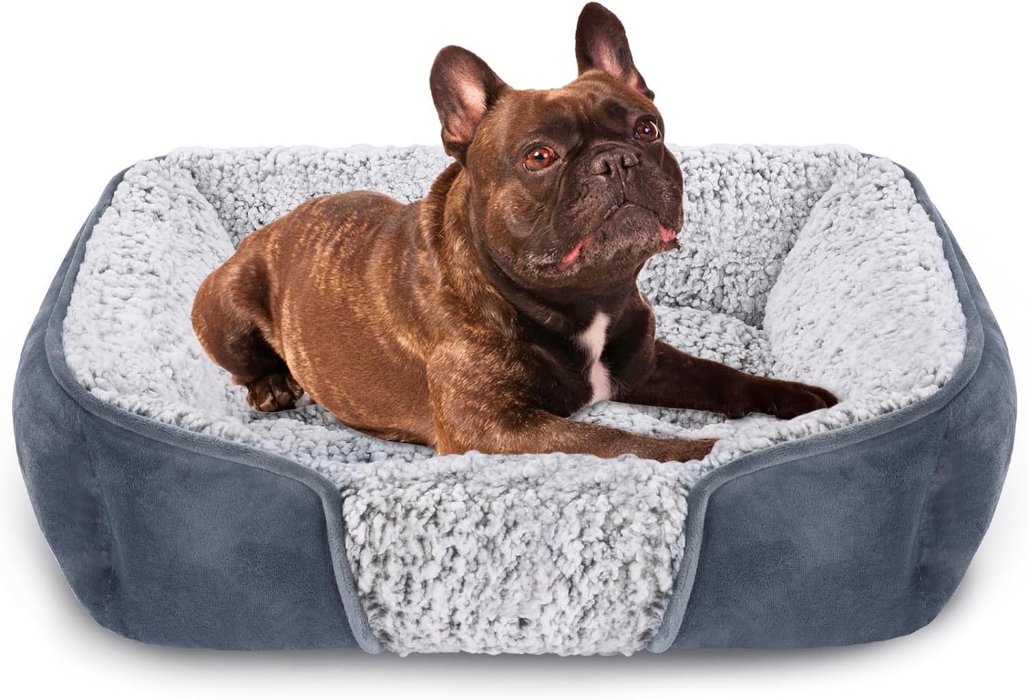 dog beds amazon