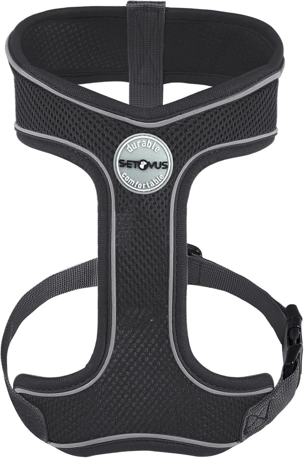 dog harness with name