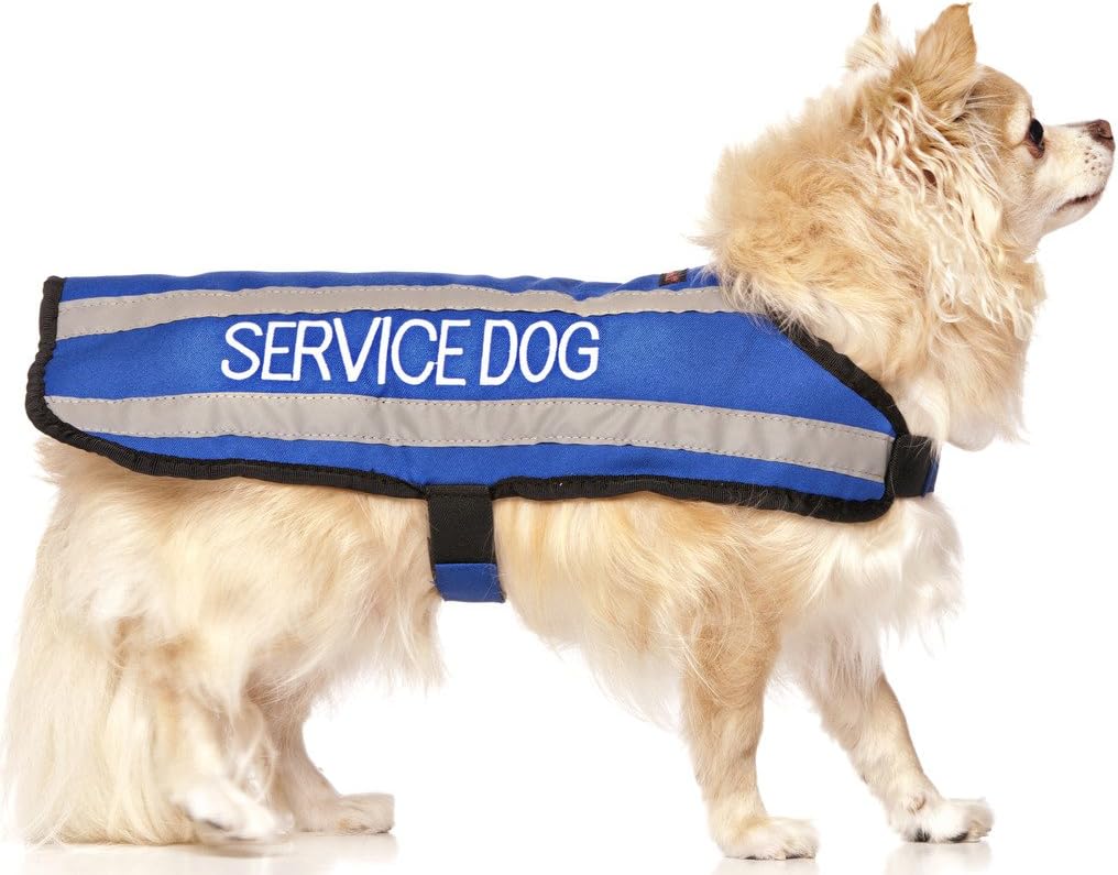 dog jackets waterproof