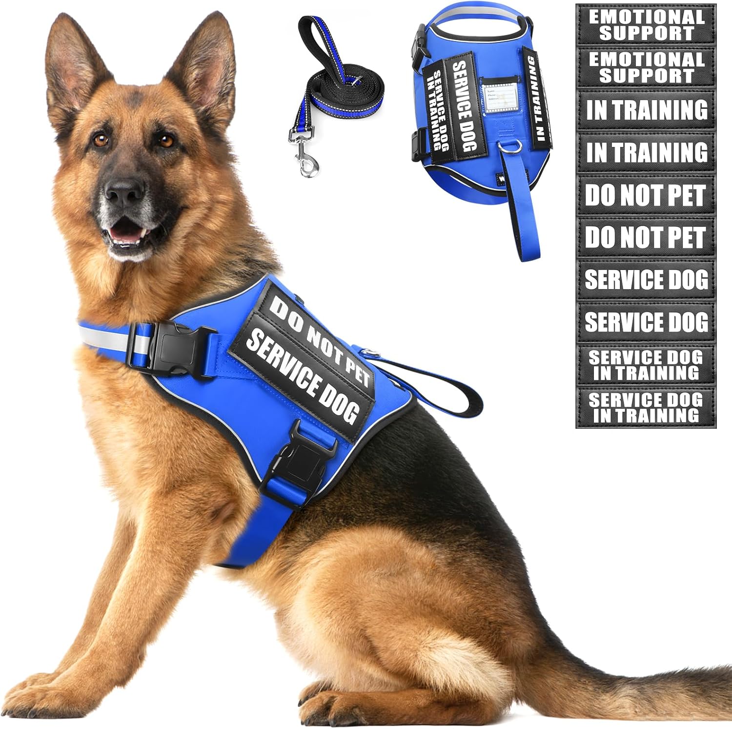 dog harness with name