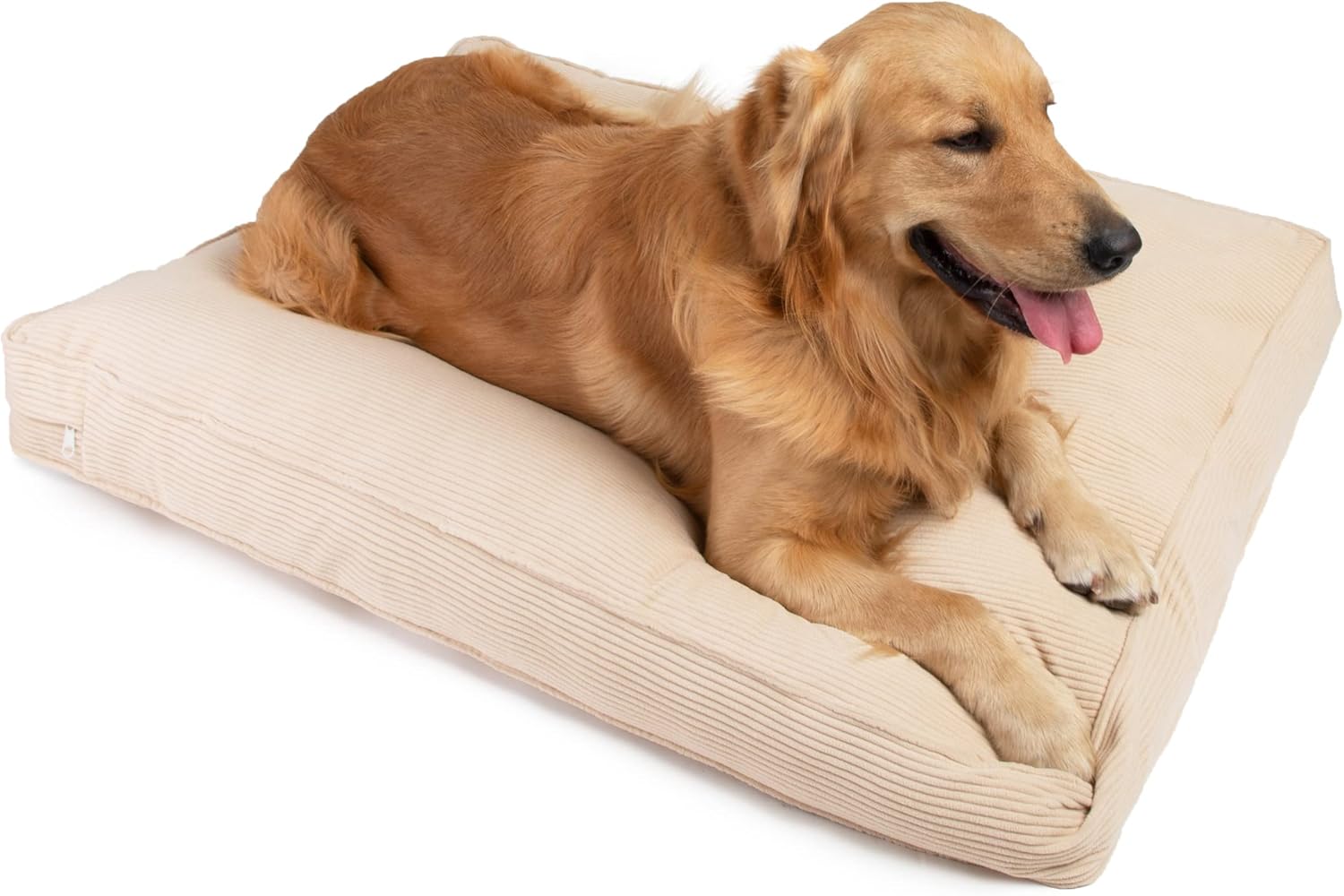 dog beds amazon