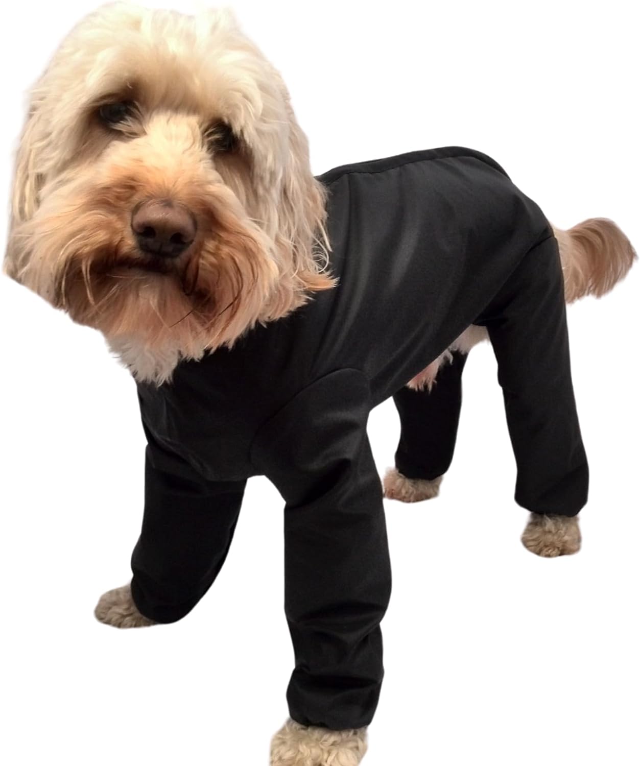 dog jackets waterproof