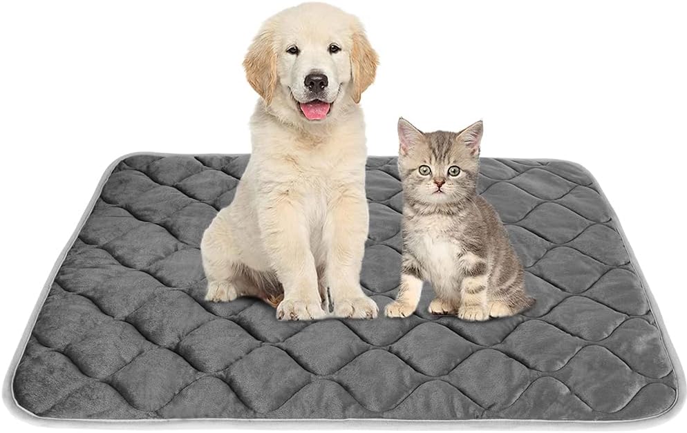 dog beds amazon