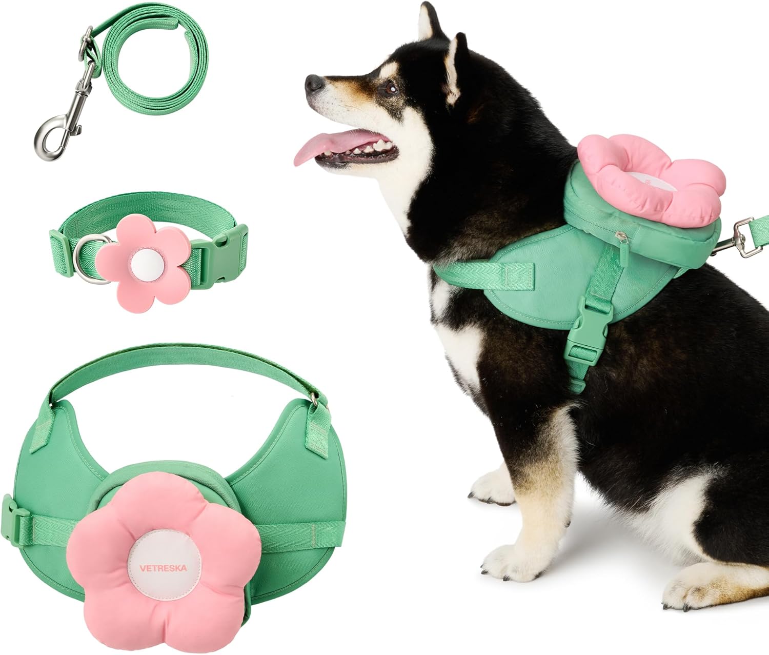 dog harness with name